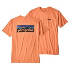 Camiseta Manga Corta Patagonia P-6 Logo Peach Sherbert